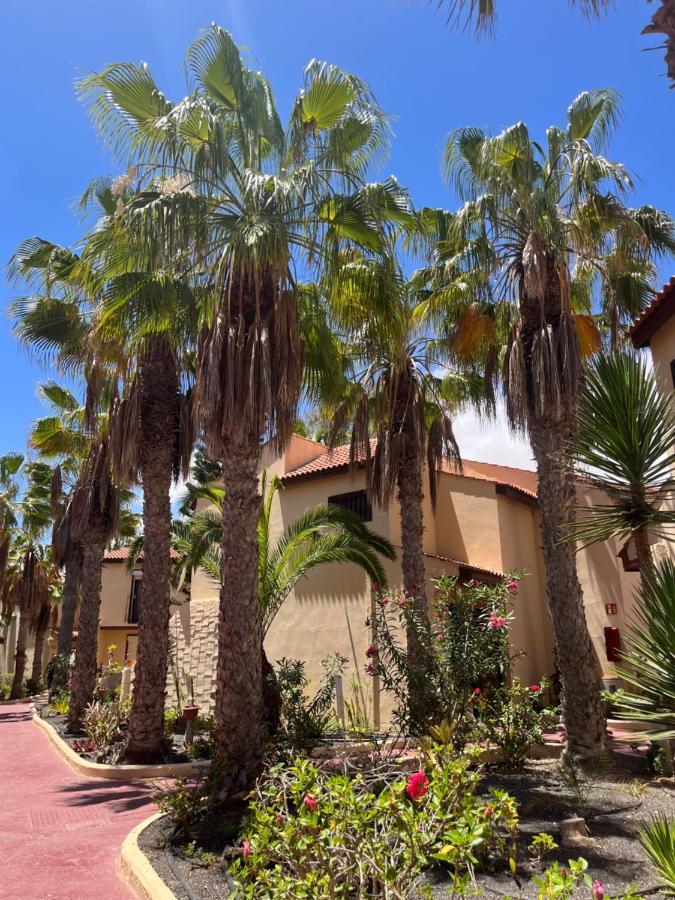 Surf And Chill Bungalow 70 Apartment Parque Holandes Exterior photo